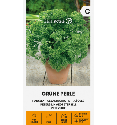Pătrunjel Grüne Perle