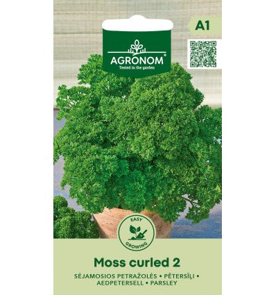 Pătrunjel Moss Curled 2