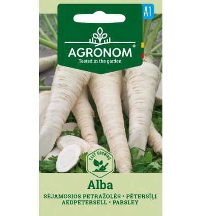 Pătrunjel de rădăcină Alba