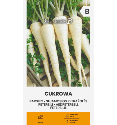 Pătrunjel de rădăcină Cukrowa