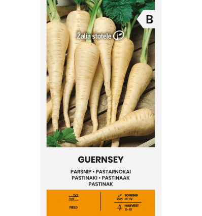 Parsnip Guernsey