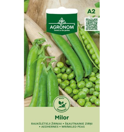 Mazăre boabe zbârcite Milor