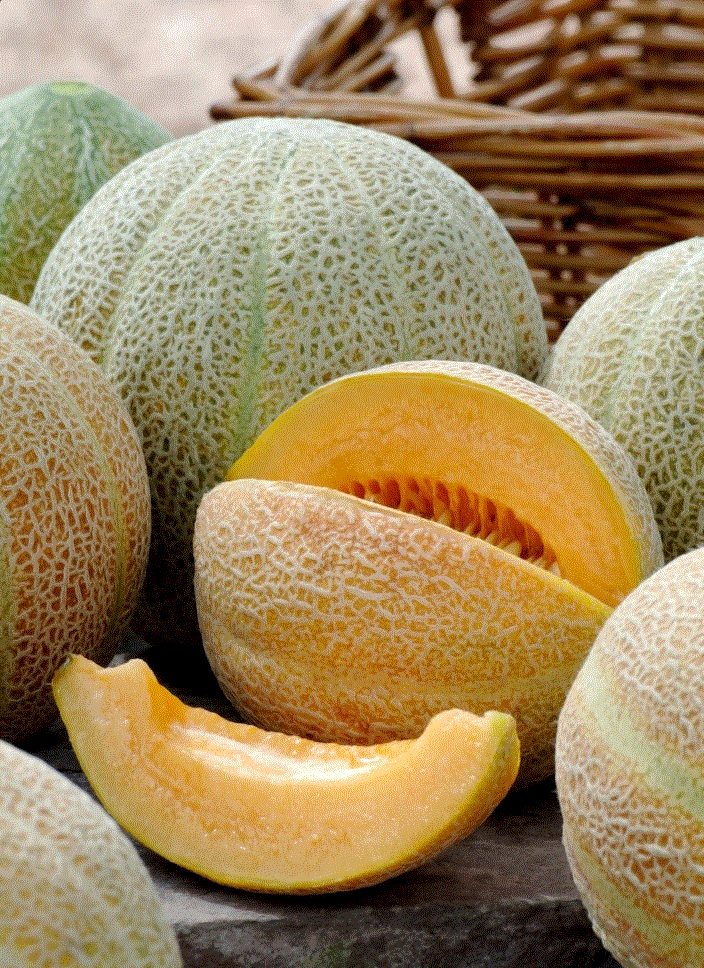Pepene galben Jumbo , 1g seminte