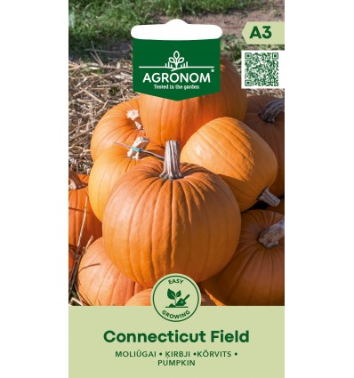 Dovleac Connecticut Field