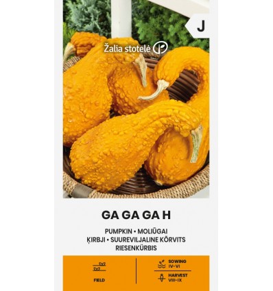 Dovleac Ga Ga Ga H