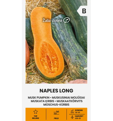 Dovleac Musk Naples Long