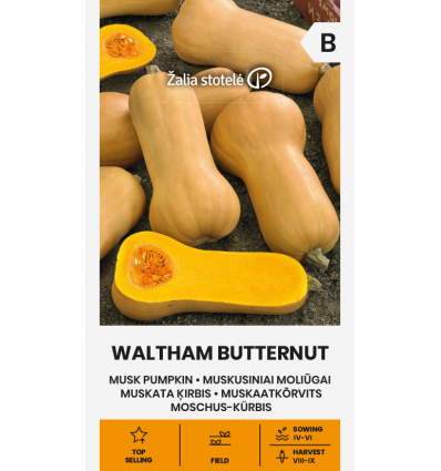 Dovleac Musk Waltham Butternut