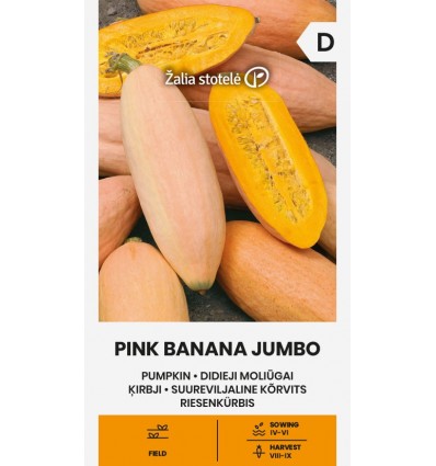 Dovleac Pink Banana Jumbo