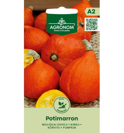 Dovleac Potimarron