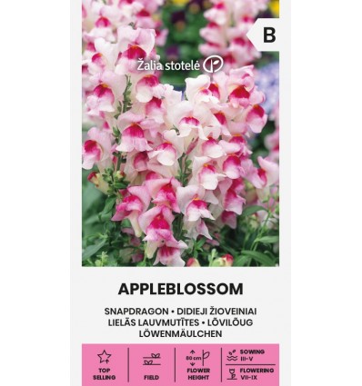 Gura-leului Appleblossom