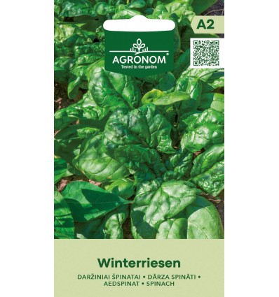 Spanac Winterriesen
