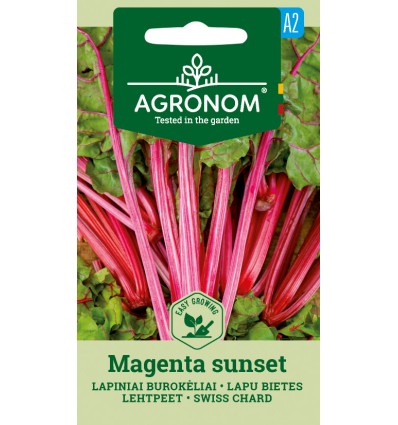 Swiss Chard Magenta Sunset
