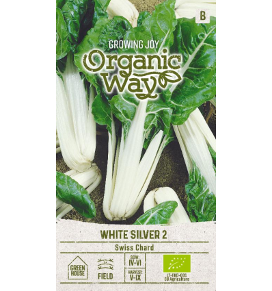 Swiss Chard White Silver 2