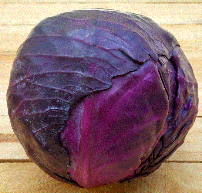 Varza rosie Marte , 1g seminte