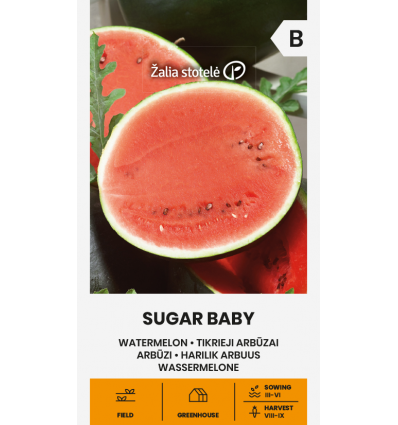 Pepene verde Sugar Baby