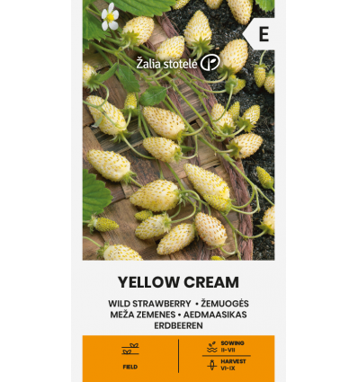 Căpșuni de pădure Yellow Cream