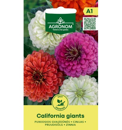 Cârciumărese Сalifornia Giants